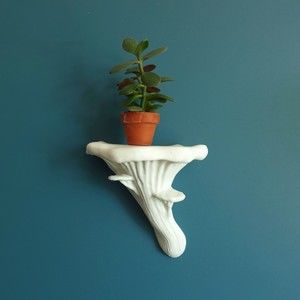 Gazzaladra Unique Wall shelf Interior Decor “Oyster Fungus” for Party